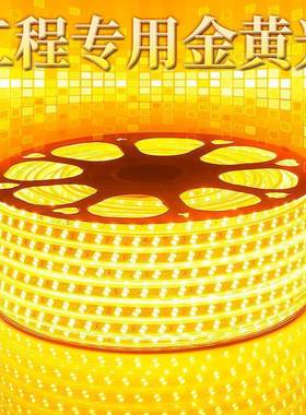 金黄5730双排贴片黄光店KTV5730型光户外防酒水线金黄色灯120珠LE