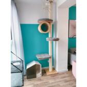 高档ctsle四季 猫爬架实天窝木通柱猫抓柱猫别墅跳台猫a猫城堡猫咪