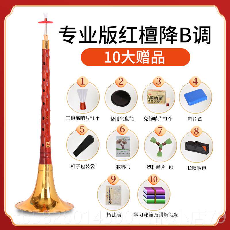 高档家王红檀木唢呐器初学者D调降B调全套专业喇叭大小彪演乐奏型