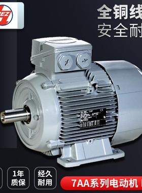 德国MEZ三相异步感应铝壳铸铁电动机7AA系列1TZ90系列全铜立卧