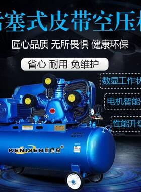 2打气泵空机大功率喷漆小型机20V380V高压压空气通用款压缩家用工