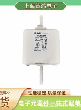 170M7078 170M7079 170M7080 170M7081原盒 户外熔断器保护器