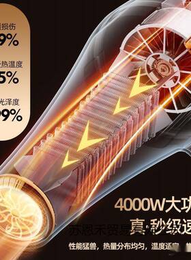 功率电吹店风机25024护家用理发其他4000发廊觅大赞风筒负离子发w