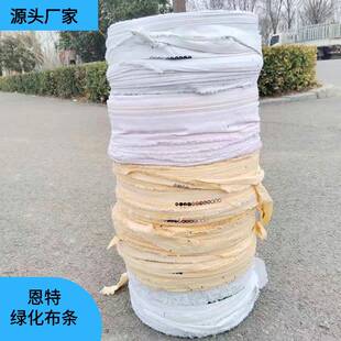 园林化布条果绿树拉土610枝包球涤棉细布条绿竹竿捆扎化布绳