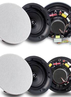 DXPA公广吸播系统窄B边带WA-805T/分频吸顶喇叭无边同轴顶喇共叭