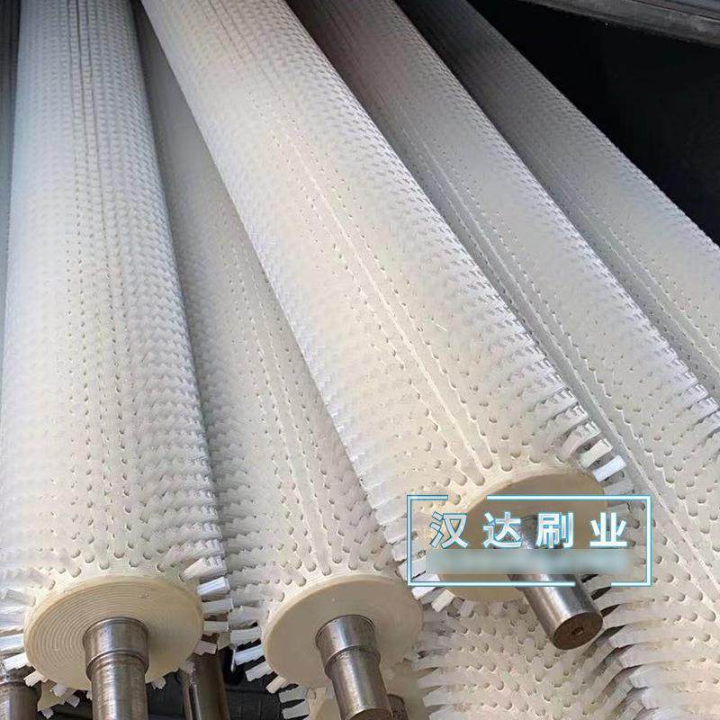 清机毛刷辊红枣菠萝工芒果荔枝清洗辊业梯HD-112形尼螺旋龙毛洗刷