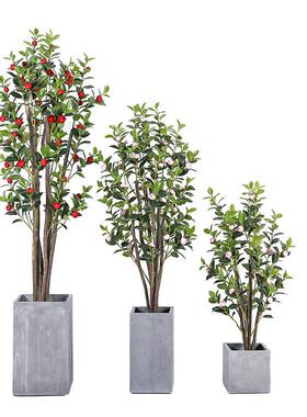 异仿味真果花无树办公家居多用装饰盆栽现代简约365塑料过胶直发