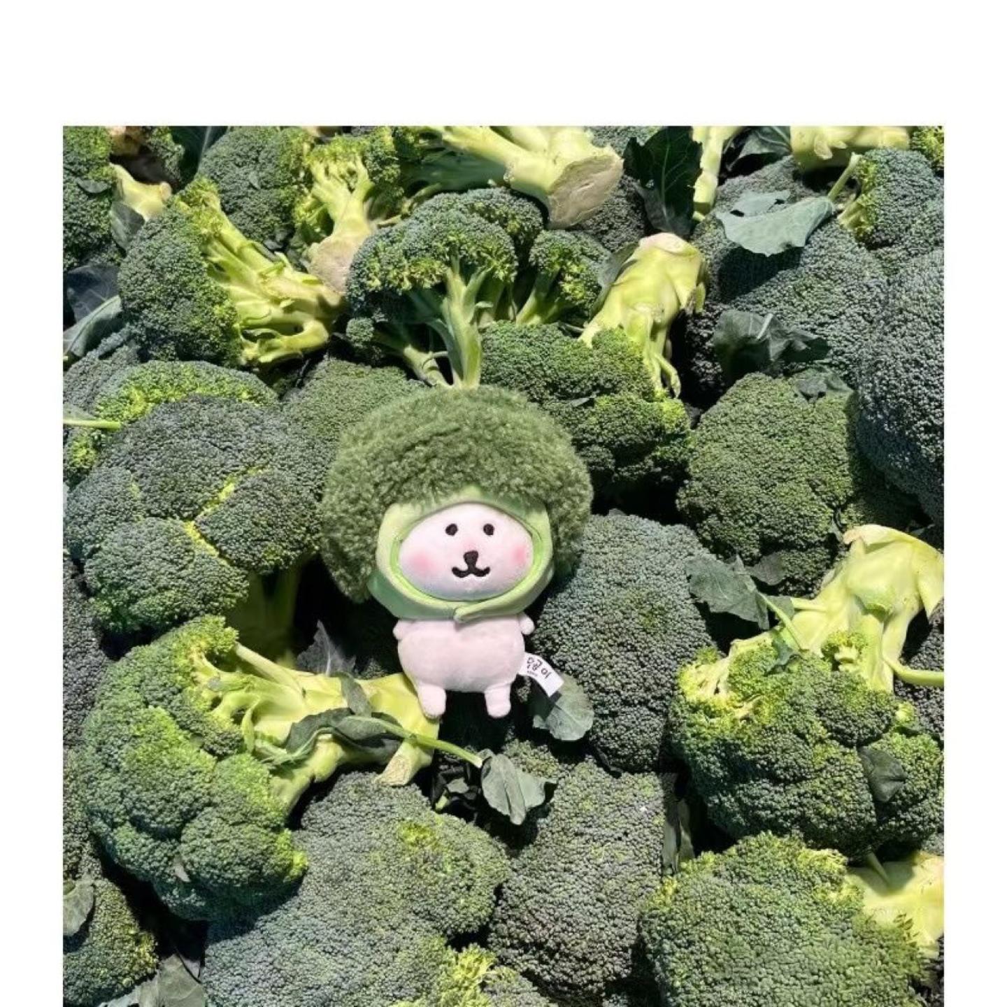 蔬菜西蓝花努努体棉花娃娃海星体