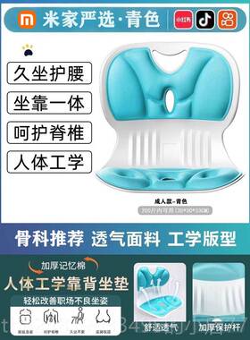 高档办公室人工学坐姿椅座椅靠垫一体垫护腰坐体神器久坐靠部背腰