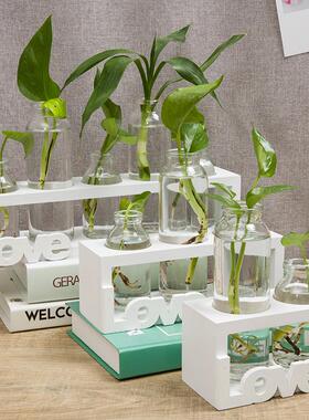 北欧水培植物玻璃花瓶家居小清新插花摆件装饰品客厅透明绿萝容器