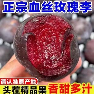 正宗玫瑰血丝李新鲜红肉红心李子应当季水果整箱黑布林恐龙蛋三华