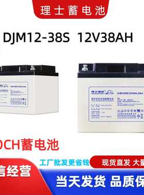 LEOCH理士蓄电池DJM1238S 12V38AH直流屏UPS/EPS电源应急铅酸电瓶