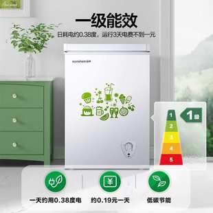 【囤货无忧】容声100升冰柜家用商用卧式小型冷柜能效变温柜