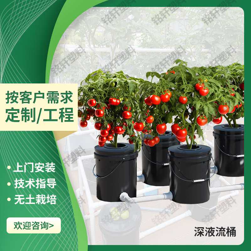 深液流桶水培系统大棚种植水培养植青菜瓜果无土栽培设备种植桶