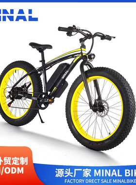 外贸出口MINAL电动自行车FT80 48V350W10.5A 08