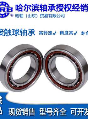 HRB哈尔滨角接触球轴承71918 71919 71920CTA/P4机床主轴精密轴承