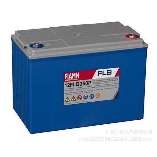 非凡蓄电池fiamm12SP100 非凡蓄电池12v100ah免维护铅酸ups蓄电池