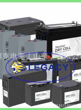 Discover蓄电池D1290,D12100S,D12140,D12150,D12180,D12200电瓶