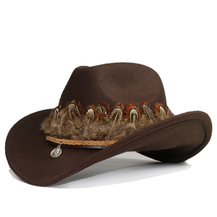 复古藏式山鸡羽毛百搭男女毛呢西部牛仔帽大沿宽边保暖帽遮阳防晒