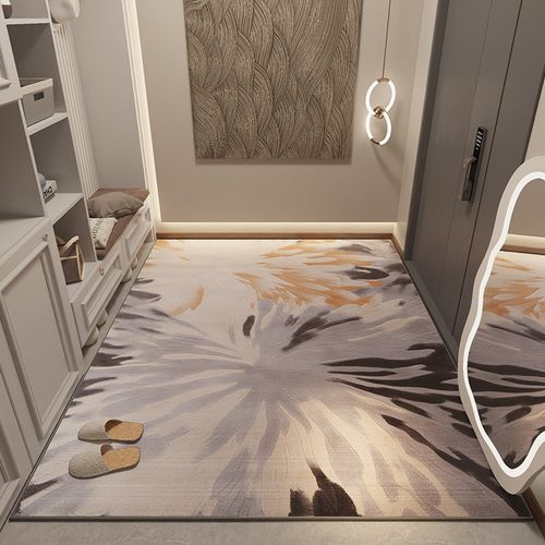 入户门地垫进门地毯客厅大门口垫子家用轻奢高级玄关脚垫耐脏高端