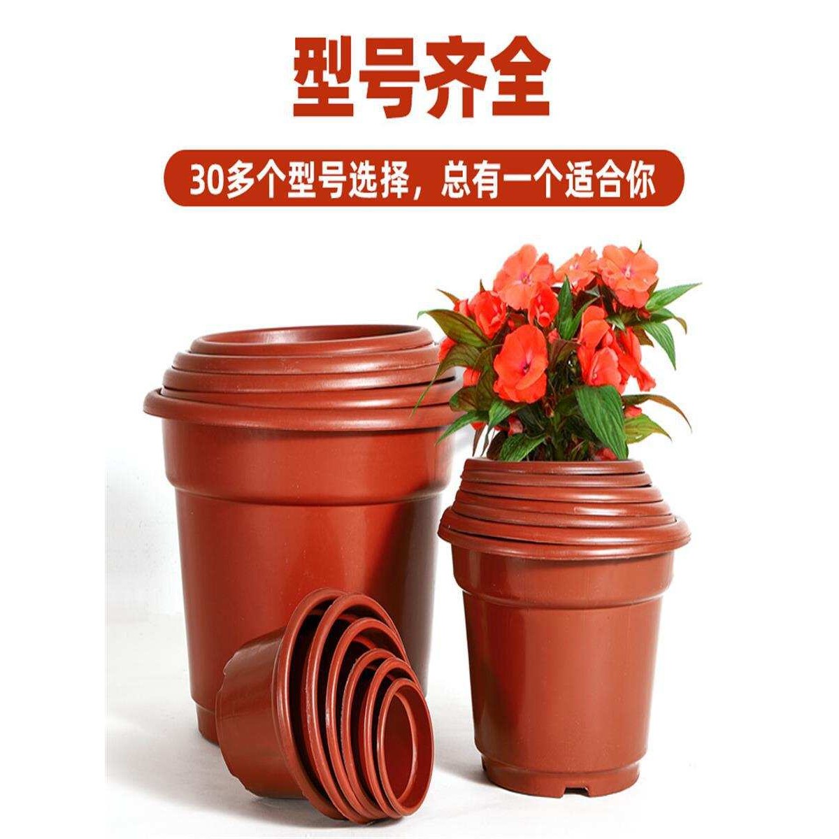 盆红色圆反边处理种植AB型育苗花盆月季花塑料基地盆