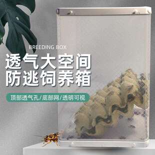 爬宠A3饲养盒透明组装盒透气漏粪便面包虫杜比亚 蛐蛐防逃饲养盒