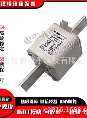 熔断器保险丝170M5957 170M5958 170M5959 170M5960 170M5961