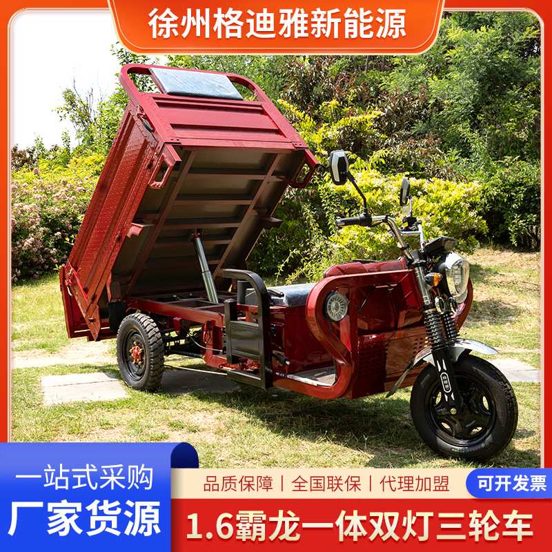 霸龙1.6一体双灯货运载重王电动三轮车家用电车农用运输电动车
