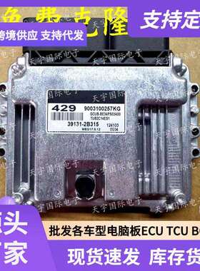 ECU MEG17.9.12系列 适用现动机电脑板 429 39131-2B315