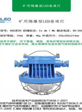 DGS45/127L(A)矿用隔爆型LED巷道灯矿山煤矿井下硐室防爆耐高温