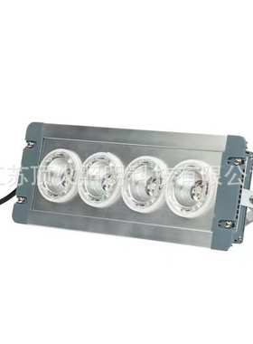 NFC9121 LED应急低顶灯 配电房地沟灯24V36V地铁隧道免维护照明灯