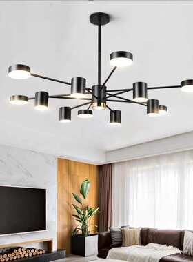 后现代客厅吊灯 直杆2头4头6头8头烤漆金属北欧风黑色金色LED吊灯