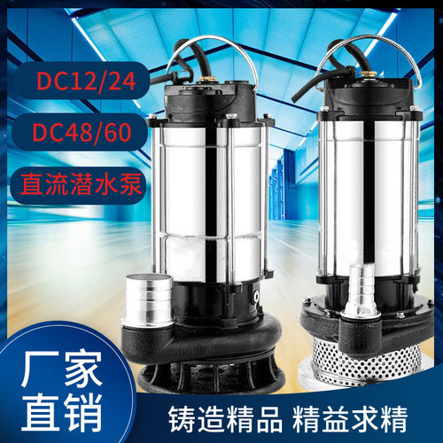 DC12V24V48V60V家用小型电瓶车不锈钢直流清水泵农用灌溉污水泵