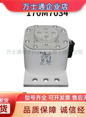 巴斯曼熔断器170M8630170M8631170M8632170M8638170M8639170M8640