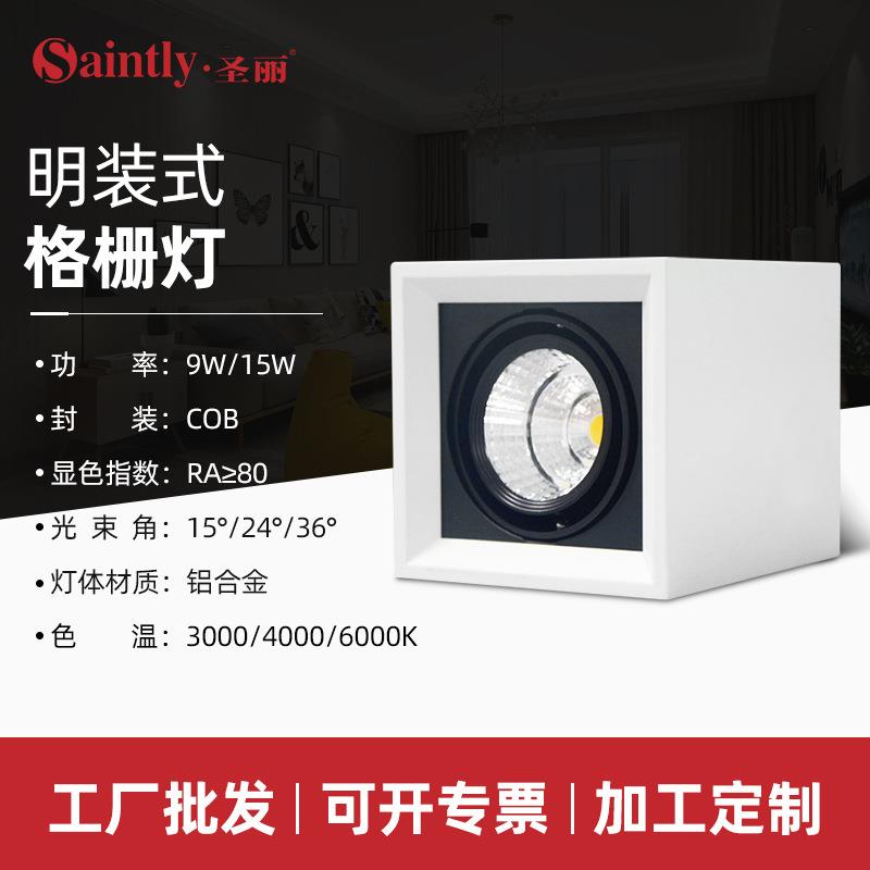 明装式LED格栅灯 双头斗胆灯 家用客厅走廊过道吊顶筒灯 厂家供应
