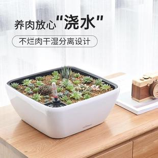 多肉花盆懒人自吸控水盆大口径植物创意造景食虫捕蝇草盆栽盆