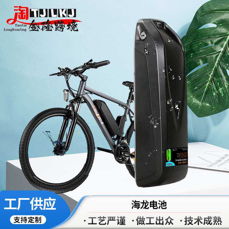 厂家供应 48v10ah海龙一号二型电动自行车锂电池 36v海龙3号电池