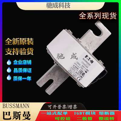 巴斯曼170M6265 170M6266 170M6267 厂价供应 销售 原装熔断器