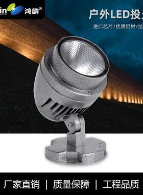 LEDCOB10W20W30W圆形地插投光灯户外投射灯七彩园林照树灯大功率