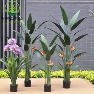 仿真绿植天堂鸟水美人鹤望兰盆景组合造景装饰景观摆件厂家