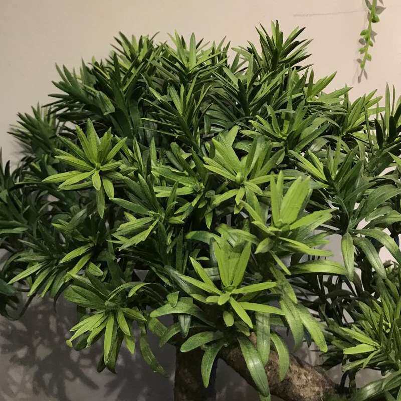 新中式仿真罗汉松盆景树脂假木根艺客厅书房茶几家居装饰品绿植