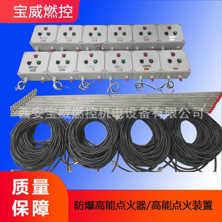 宝威燃控 无缘开关量点火装置 防爆高能点火器BWFD-12