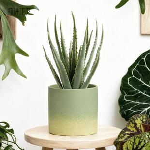 仿真芦荟盆栽热带多肉假植物店铺桌面橱窗落地造景沙漠绿植龙舌兰