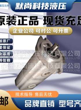 合肥皖液齿轮泵CBSL-G25/G19 G25/G23 G25/G25 G28/G28-AF 双联泵