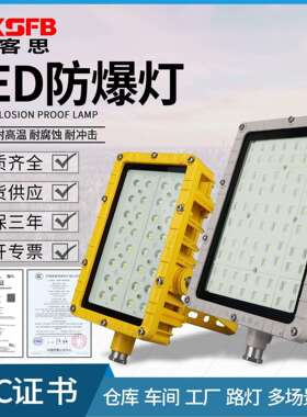 BFC8115LED泛光灯60W厂房隔爆型投光灯100W户外防水路灯式防爆灯