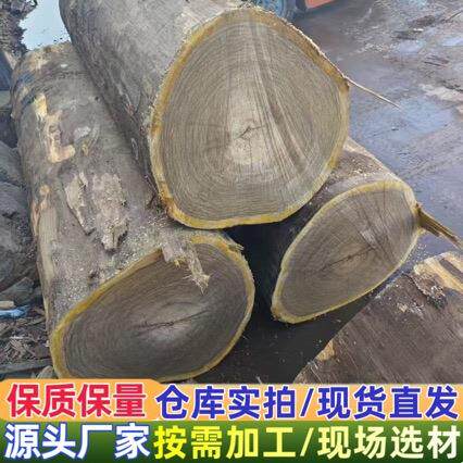 榄仁木TRE板材烘干板实木板材家具材厂家家装木材防腐木 板材