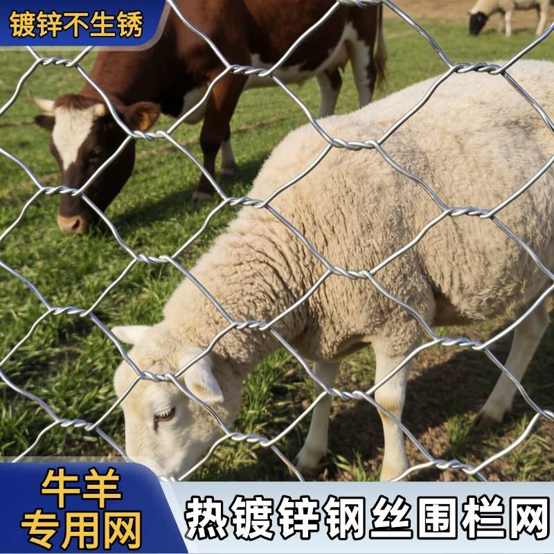 镀锌铁丝网围栏护栏网养殖圈牛羊猪防护网拧花网丝网隔离网六角网