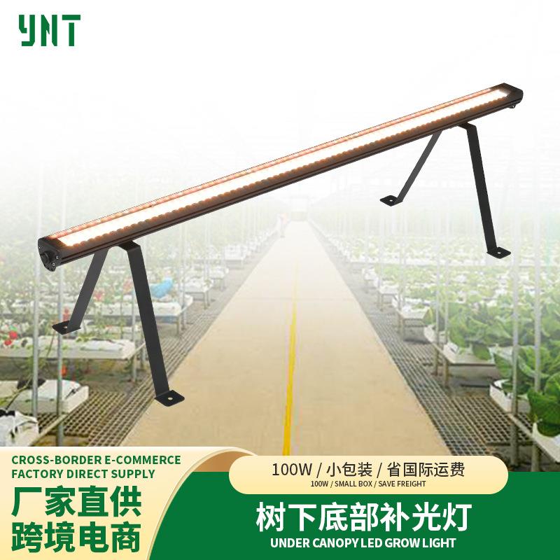 LED株间灯undercanopy植物灯100W全光谱树下底部顶部补光串联灯条