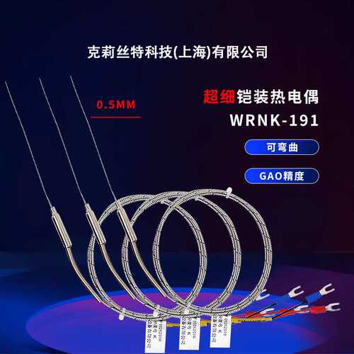 高灵敏超细耐用铠装热电偶WRNK-191超细探针0.5mm耐高温可弯曲