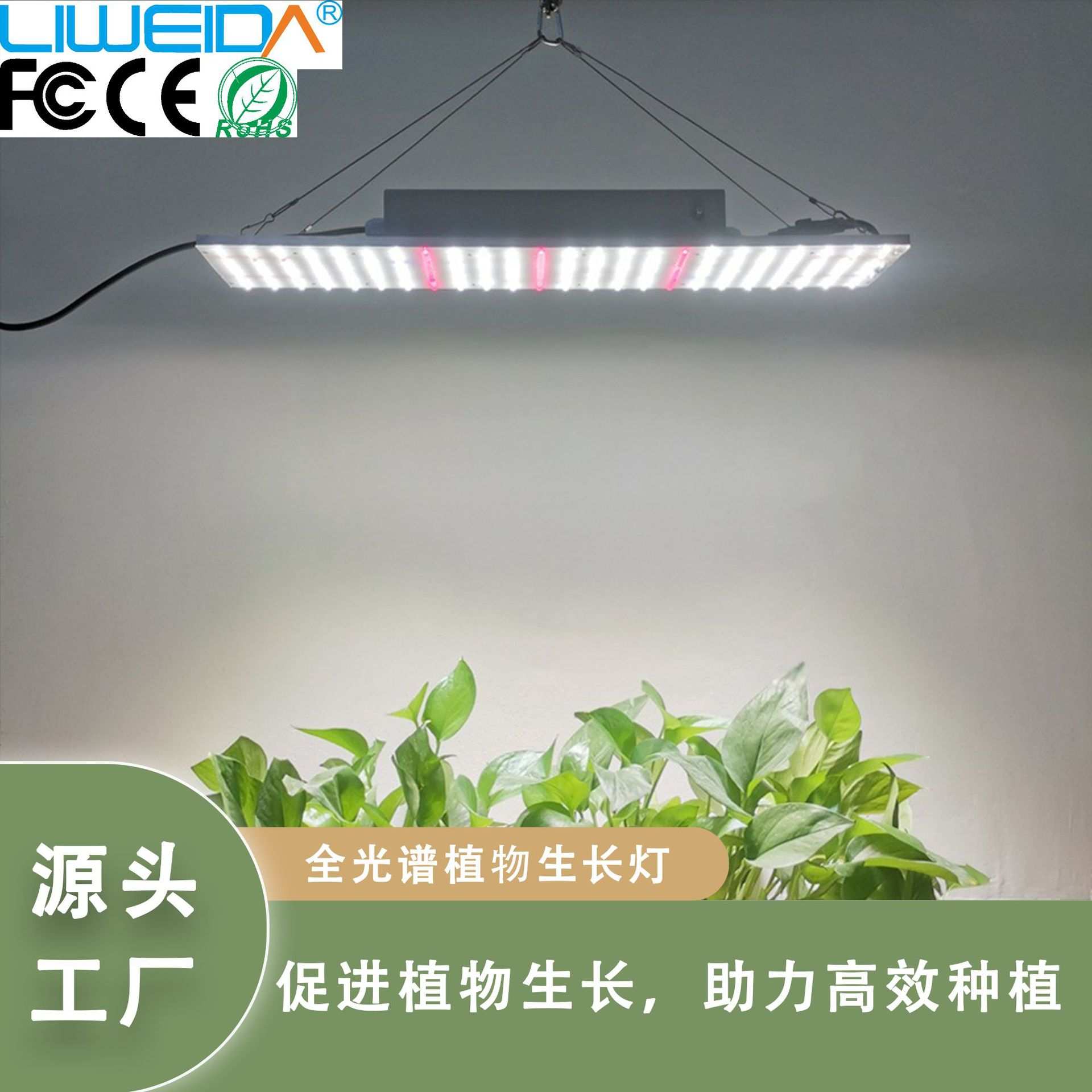 led植物灯 太阳室内植物补光灯家用大棚花草育苗生长灯